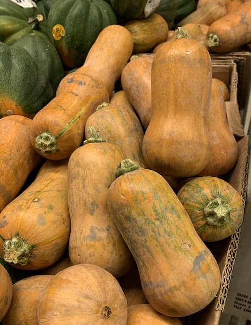 Acorn Squash