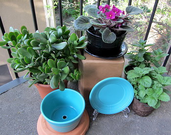 Fiestaware Planter and Saucer