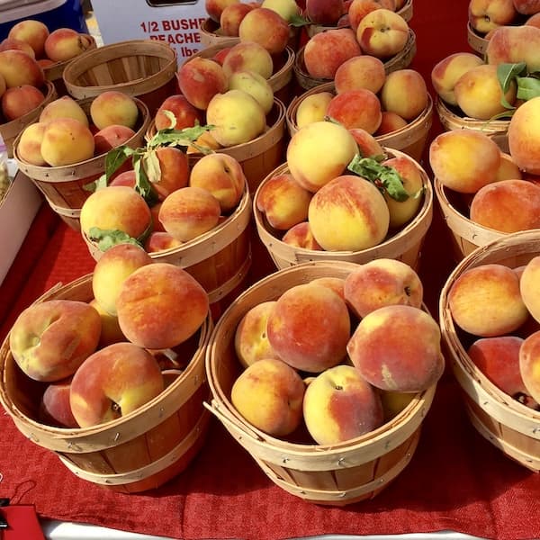 Peaches for the bake-off