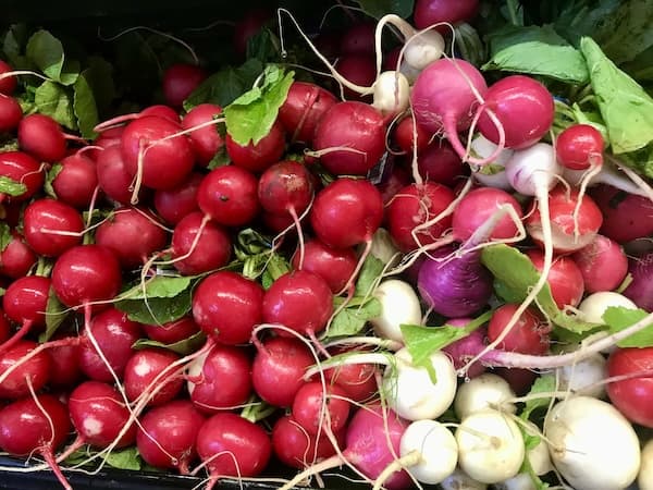 Turnips are root vegetables 