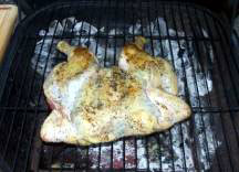 Roadkill Chicken on the grill